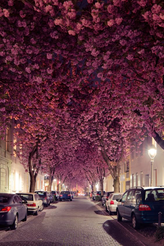 The 53 Most Beautiful Streets in the World