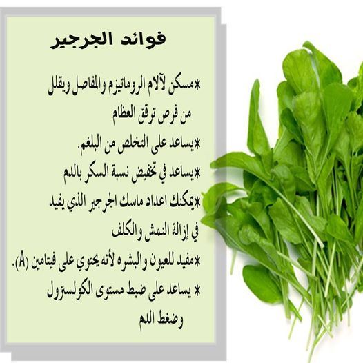 الكوفان Alcofan Suppository Personal Care Person