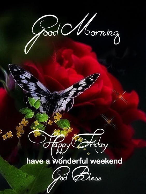 Happy Friday Good Morning