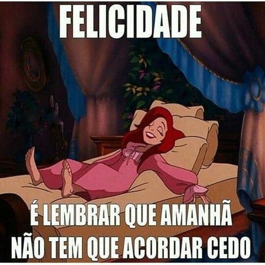 Amanha E Feriado Funny Animal Jokes Humor Funny Memes