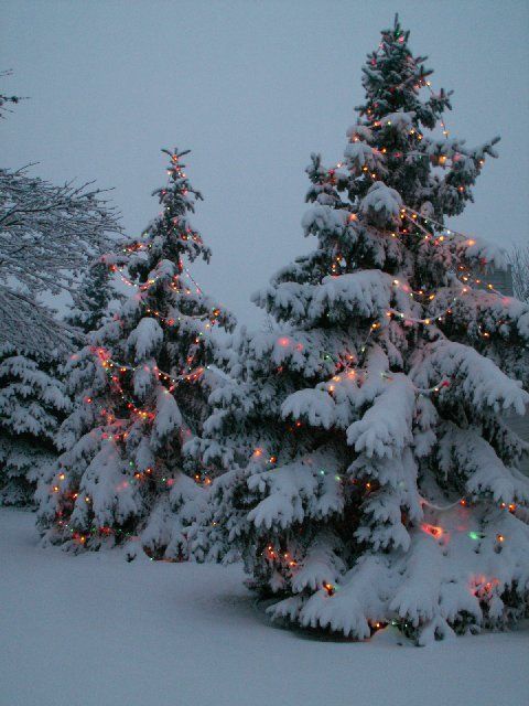 christmas-winter