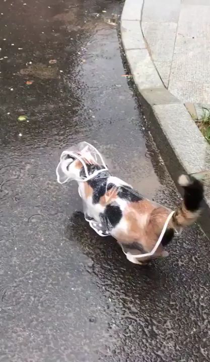 No worry, I\'ve rain coat