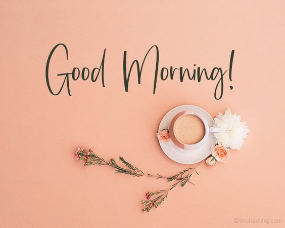 250+ Good Morning Messages, Wishes & Quotes | WishesMsg