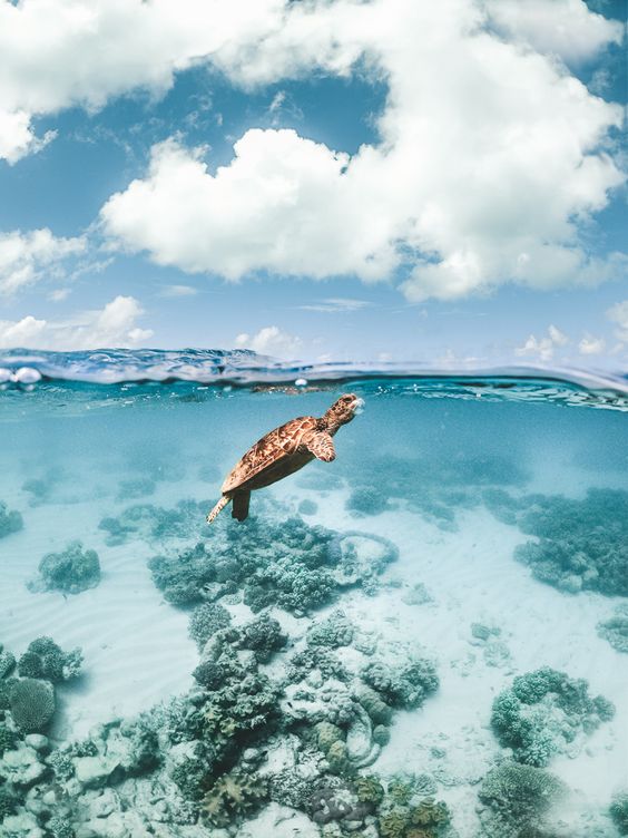 37 CAIRNS PHOTOS TO INSPIRE YOUR TROPICAL QUEENSLAND TRAVELS - Journey Era