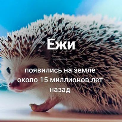 Социальная сеть Одноклассники. Общение с друзьями в ОК. Ваше место встречи с одноклассниками