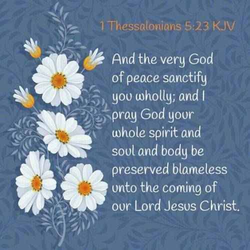 Pin on God's Word