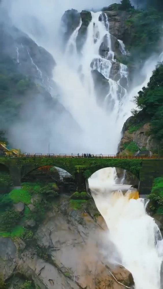Doodh Sagar Waterfall 💙 - TravelwholeIndia