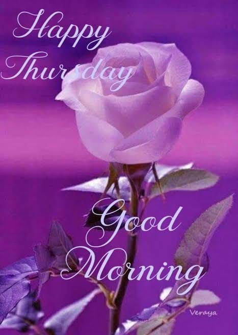Happy Thursday, Good Morning