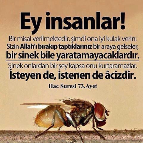 Aysel Soybulut Adli Kullanicinin Ayet Panosundaki Pin Islamic Quotes Zulum Islam