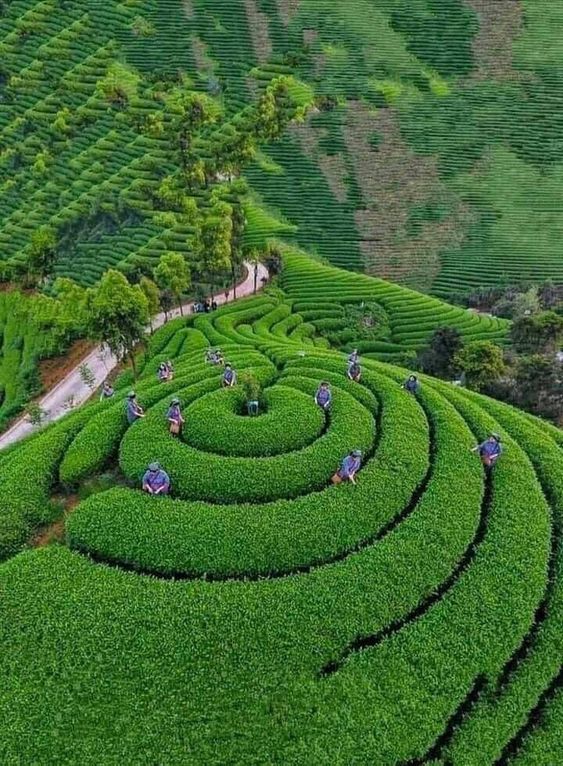 good-morning-kerala-nature-photos