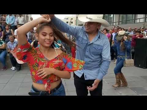 Chihuahua Baila Idaly Y Pedrito Bailan Asi Youtube Chihuahua Cowboy Hats Musicals