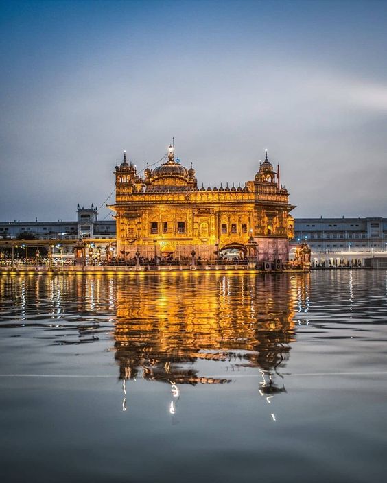 Golden temple in Amritsar, India (1080x1350)