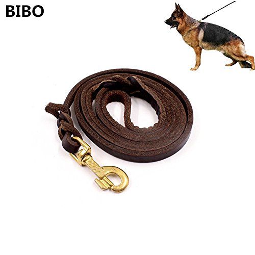 Bibo 5 6 Ft Gentle Leader Best Walking Dog Leather Training Leash