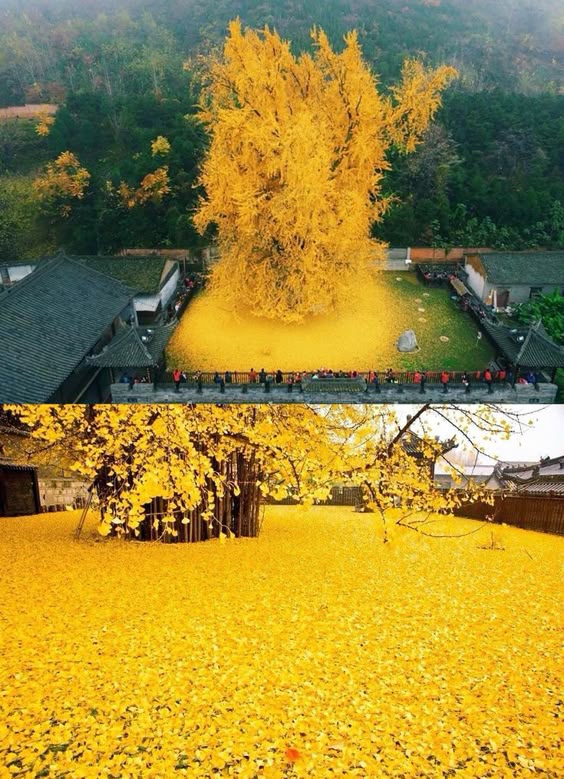 what-three-from-does-nature-photos