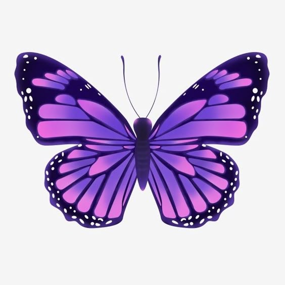 Purple Butterflies White Transparent, Purple Butterfly Png Material, Butterfly Clipart, Purple Butterfly, Butterfly PNG Image For Free Download