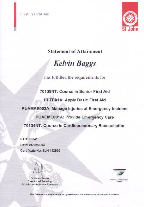 Standard First Aid Certification First Aid Pinterest - example certificate of origin Standard First Aid Certification First Aid Pinterest - example certificate of origin