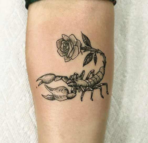 Girly Simple Scorpion Tattoos - Tatto Pictures