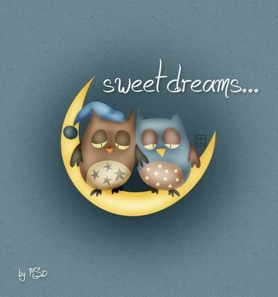 good-night