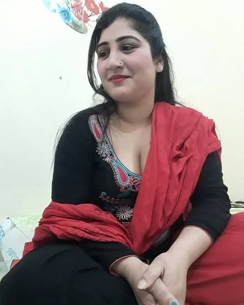 Desi Chubby Aunty Desi Chubby Aunty