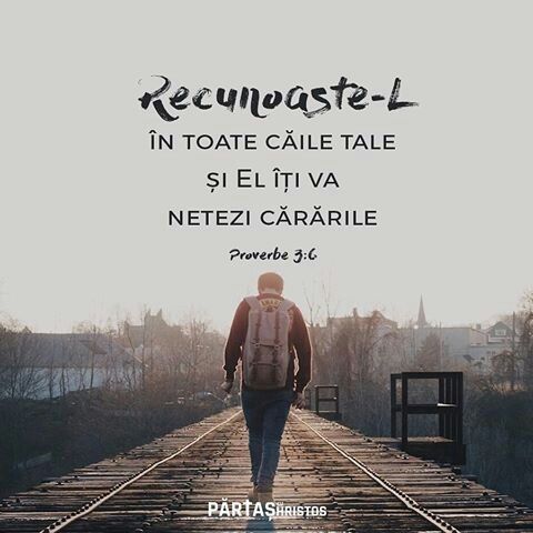 Traducere