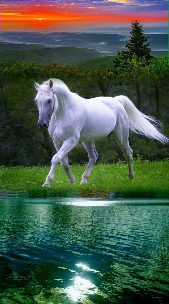 (3) Tumblr