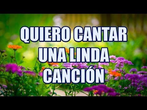 Quiero Cantar Una Linda Canción Pista Con Letra Karaoke Youtube Canciones Musica Cristiana Para Escuchar Canciones Cristianas