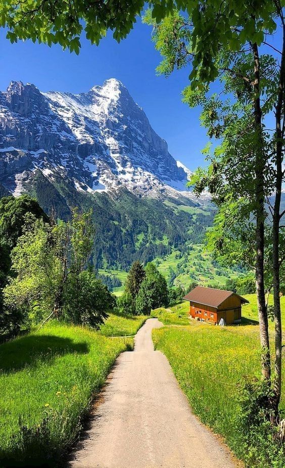 Worldson: Photo
