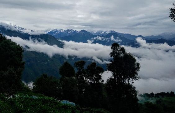 7 things nobody tells you about Munsiyari homestay! - Light Travel Action