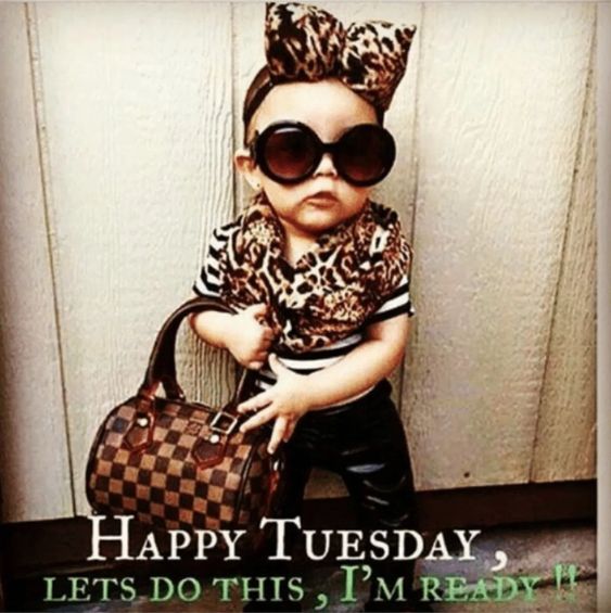 15 Happy Tuesday Memes - Best Funny Tuesday Memes