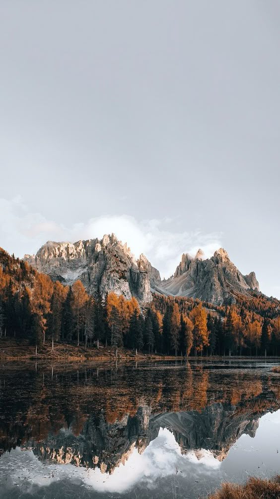Pinterest