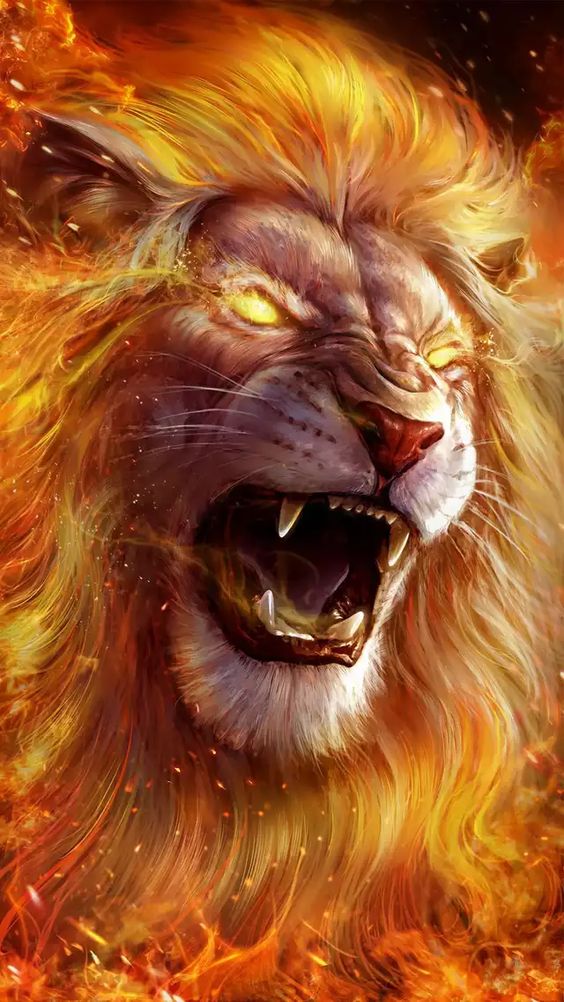 lion