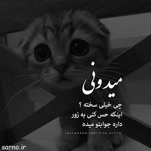 پروفایل دخترونه شیک Cute Wallpapers Quotes Cute Emoji Wallpaper Fun Texts