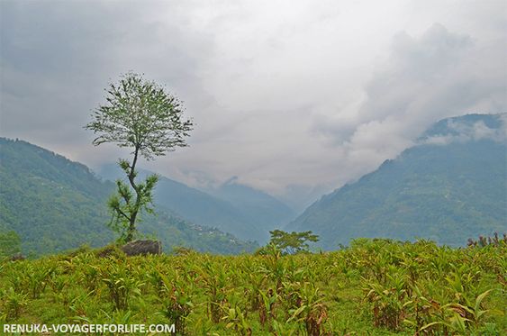 10 Highlights Of My Journey Through Sikkim - Voyager For Life