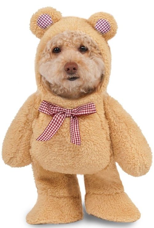 Dog Walking Teddy Bear Fancy Dress Costume Teddy Bear Costume