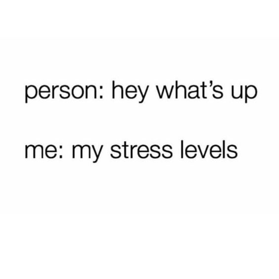 Never not stressed.