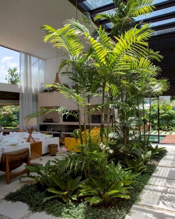 central area for an indoor garden #gardenIdeas #garden #gardening #plants #homeDecor #indoor