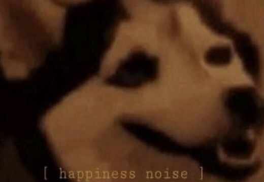 One Shots Harry Potter In 2020 Doge Meme Cute Animal Memes Meme Template