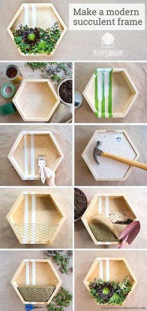 Diy Modern Vertical Succulent Planter Gardens Succulents - Succulent Wall Planter Box Diy Diy Modern Vertical Succulent Planter Gardens Succulents - Succulent Wall Planter Box Diy