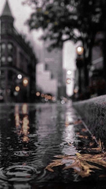 rain