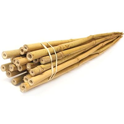 4' Bamboo Stakes - Plant Support & Cages