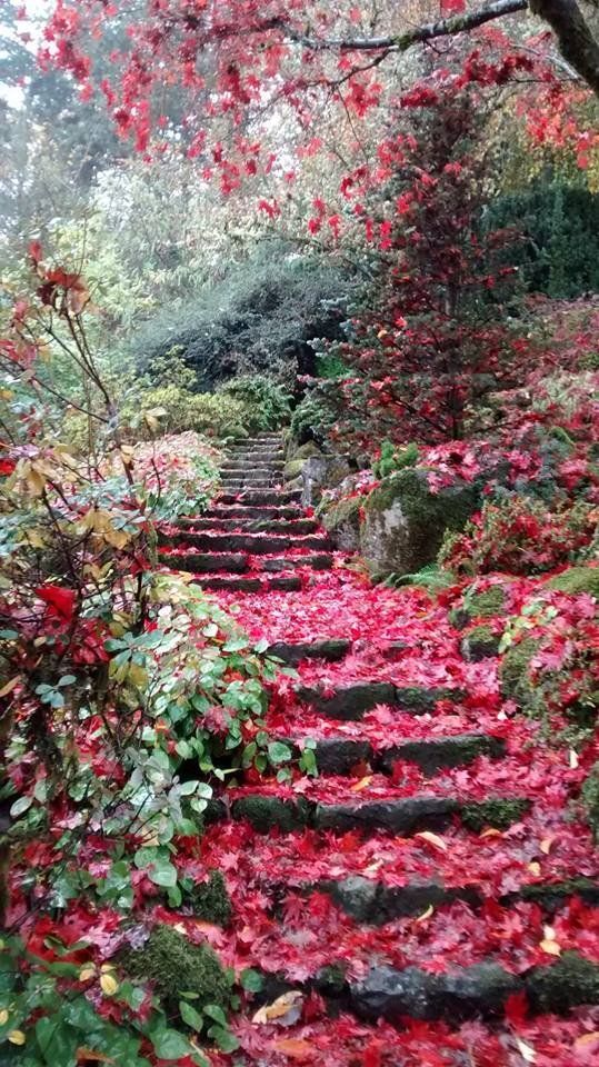 There\'s A Little Known Unique Garden In Portland... And It\'s Truly Magical