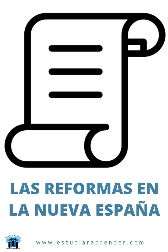 las reformas en la nueva españa