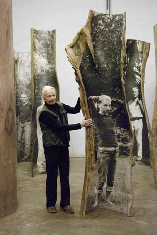 Lorraine Hamilton blog Photos inside tree bark