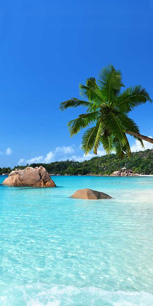 Best Travel Deals Website Online Beach Scenery Beach Trip