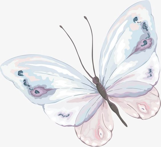 Hand Painted Material PNG Image, Hand Painted Watercolor Butterfly Material, Watercolor, Butterfly, Butterfly Material PNG Image For Free Download