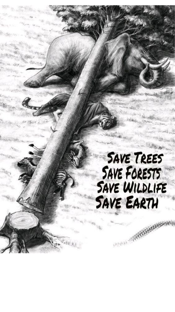 true or false