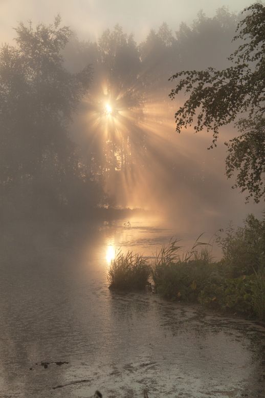 When the brume clears, no matter how brief the reprieve, capture the moment. Hold it dear and remember there will always be another break in the fog. ~Undeniably Sara