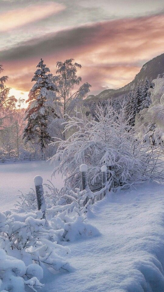 winter, snow, ice