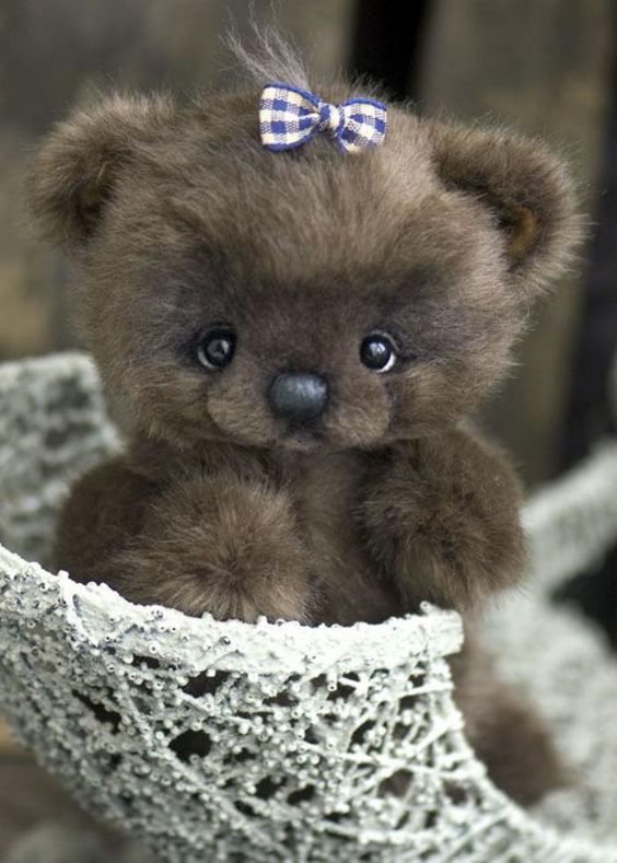 ourson en peluche, petit ours en peluche