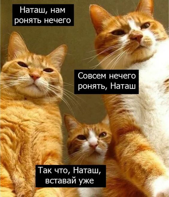 Прикольные Фото Хуев Прикольные Фото Хуев